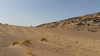desert_rosaloane