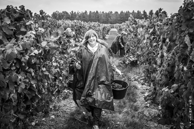 journee_vigneron_onaya_rmgo_2015_d