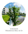 Limonest-Résidence-Bleu-et-Or